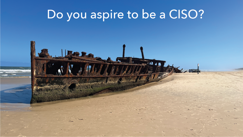 To be or not to be a ciso