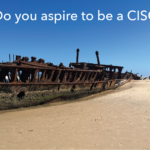 To be or not to be a ciso