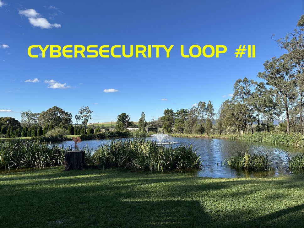 Cybersecurity Loop Newsletter #11