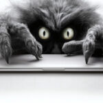 Ransomware Hits 118 Australian Businesses