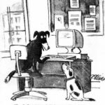 On the internet nobody knows you are a dog