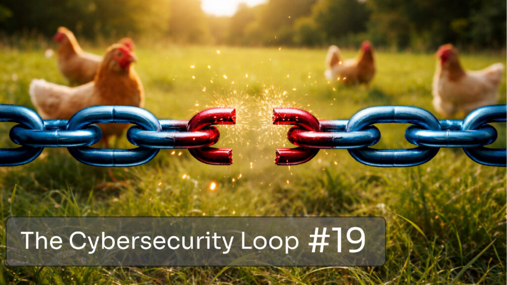 The cybersecurity loop edition 19