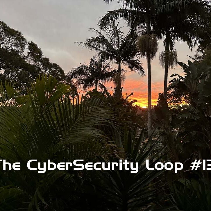 Cyooda Security Loop Newsletter and Blog 13