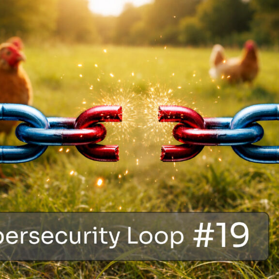 The cybersecurity loop edition 19